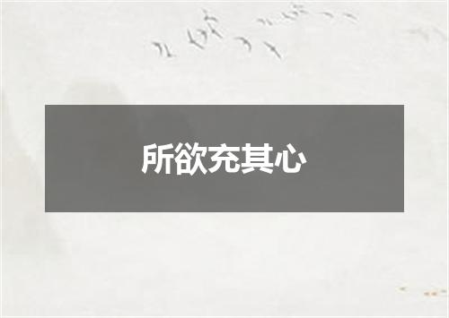 所欲充其心