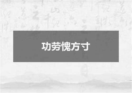 功劳愧方寸