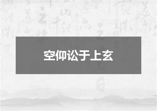 空仰讼于上玄