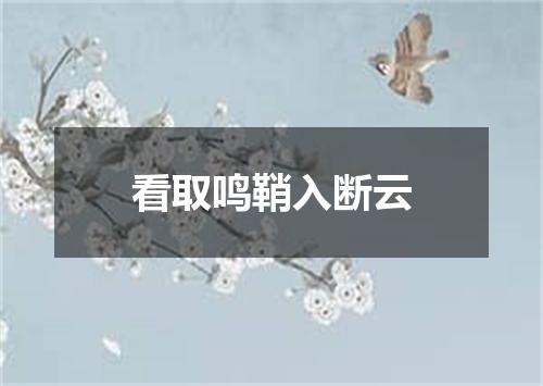 看取鸣鞘入断云