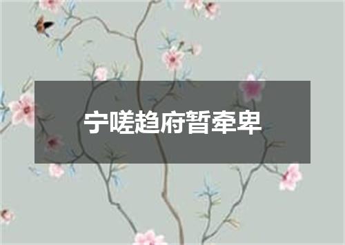 宁嗟趋府暂牵卑