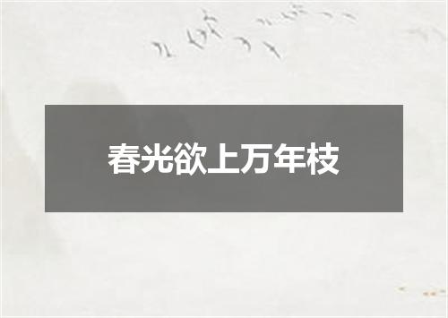 春光欲上万年枝