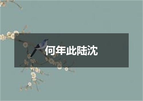 何年此陆沈