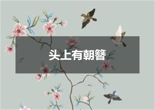 头上有朝簪