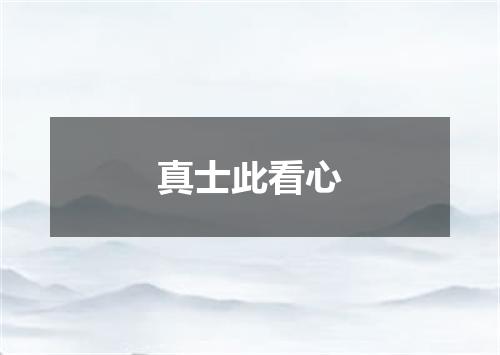 真士此看心