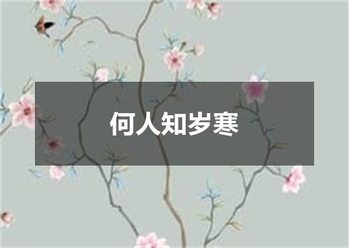 何人知岁寒