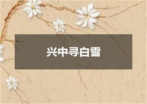 兴中寻白雪
