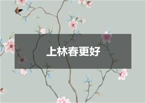 上林春更好