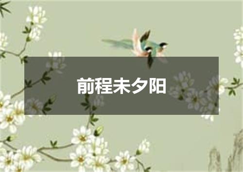前程未夕阳