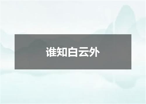 谁知白云外