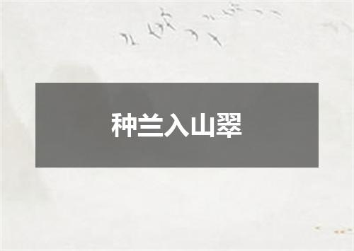 种兰入山翠