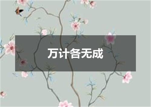 万计各无成