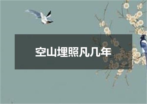 空山埋照凡几年