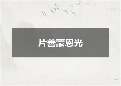 片善蒙恩光