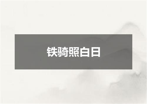 铁骑照白日