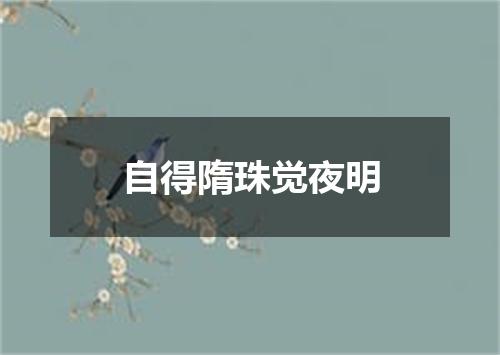 自得隋珠觉夜明