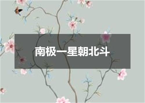 南极一星朝北斗