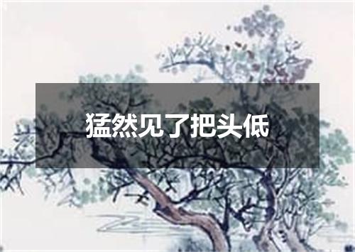 猛然见了把头低