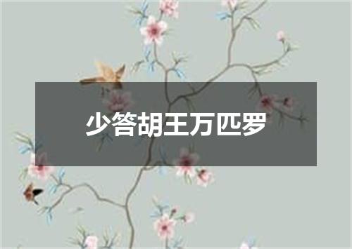 少答胡王万匹罗