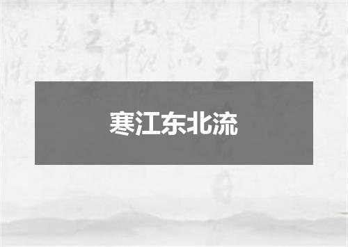寒江东北流