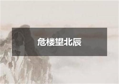 危楼望北辰