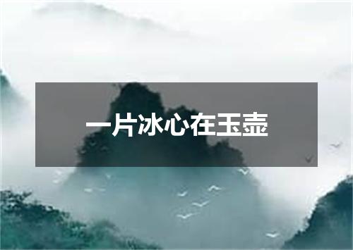 一片冰心在玉壶