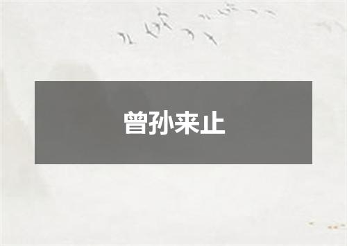 曾孙来止