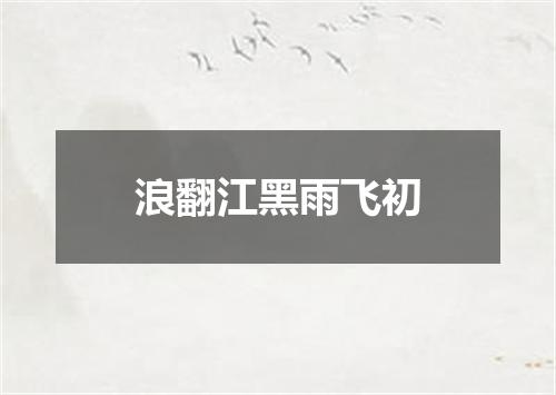 浪翻江黑雨飞初