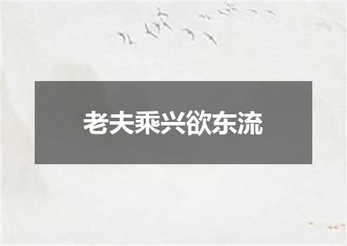 老夫乘兴欲东流