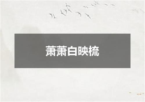 萧萧白映梳