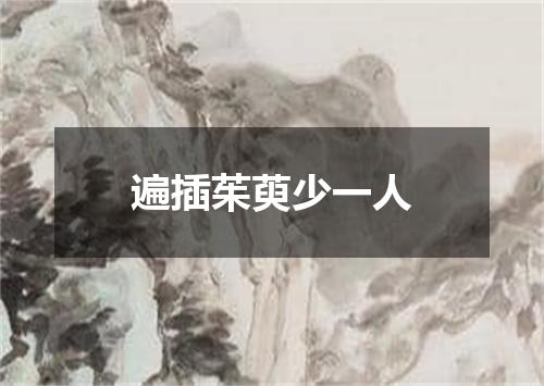 遍插茱萸少一人