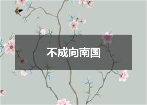 不成向南国