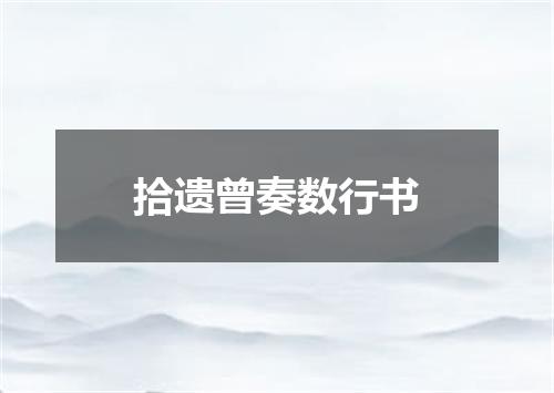 拾遗曾奏数行书