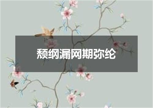 颓纲漏网期弥纶