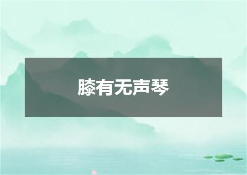 膝有无声琴