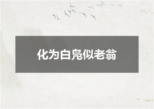 化为白凫似老翁