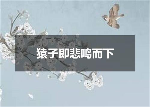 猿子即悲鸣而下