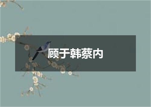 顾于韩蔡内