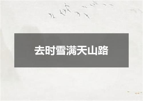 去时雪满天山路