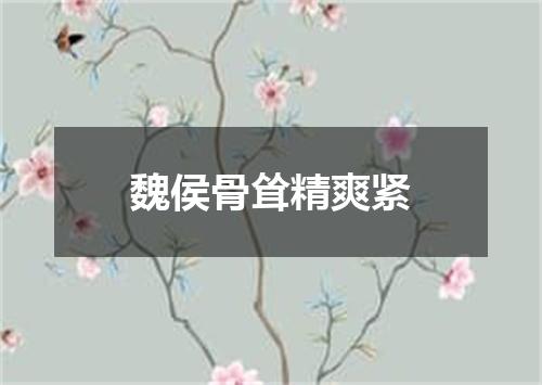魏侯骨耸精爽紧