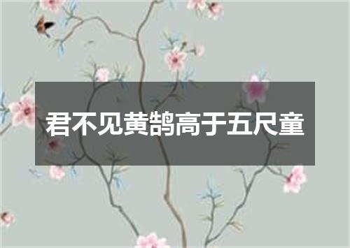 君不见黄鹄高于五尺童