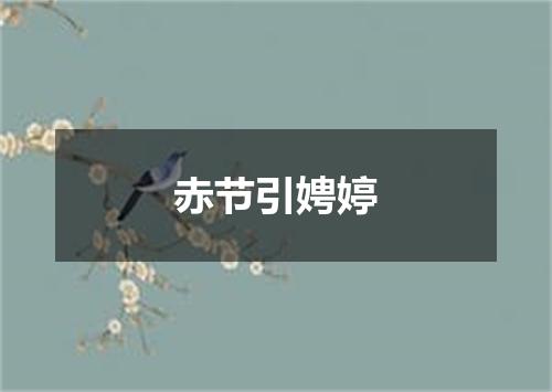赤节引娉婷