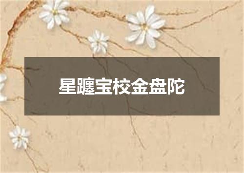 星躔宝校金盘陀