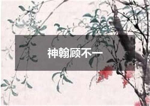 神翰顾不一