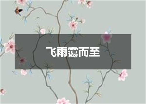 飞雨霭而至