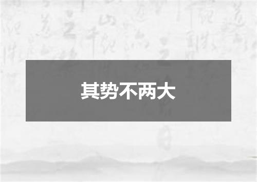 其势不两大