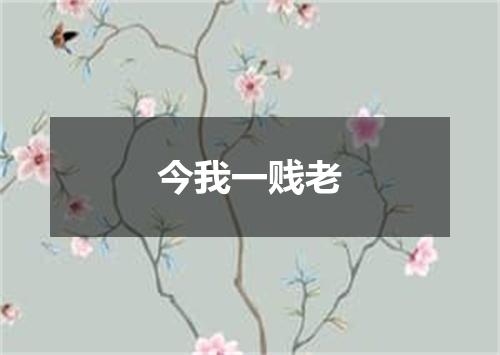 今我一贱老