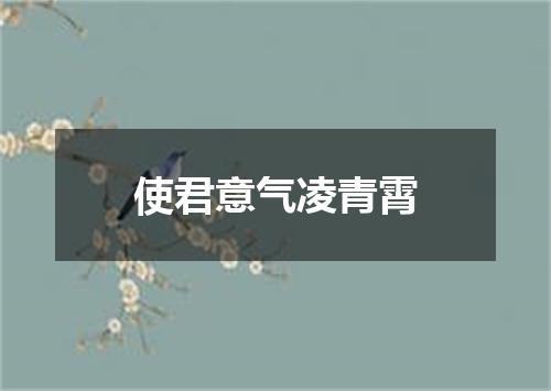 使君意气凌青霄