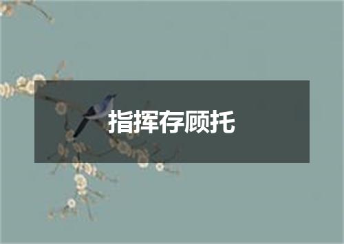 指挥存顾托