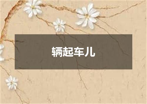 辆起车儿